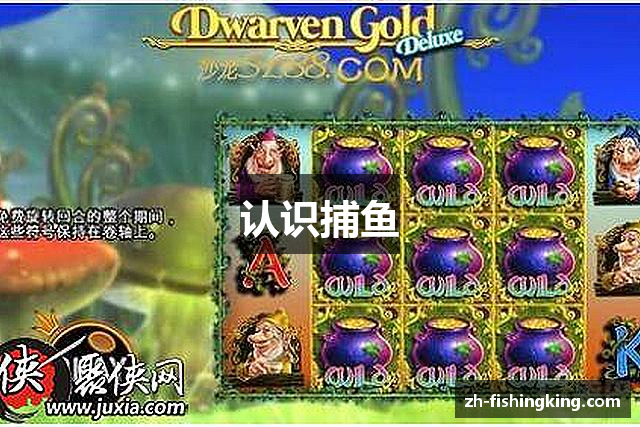 认识捕鱼